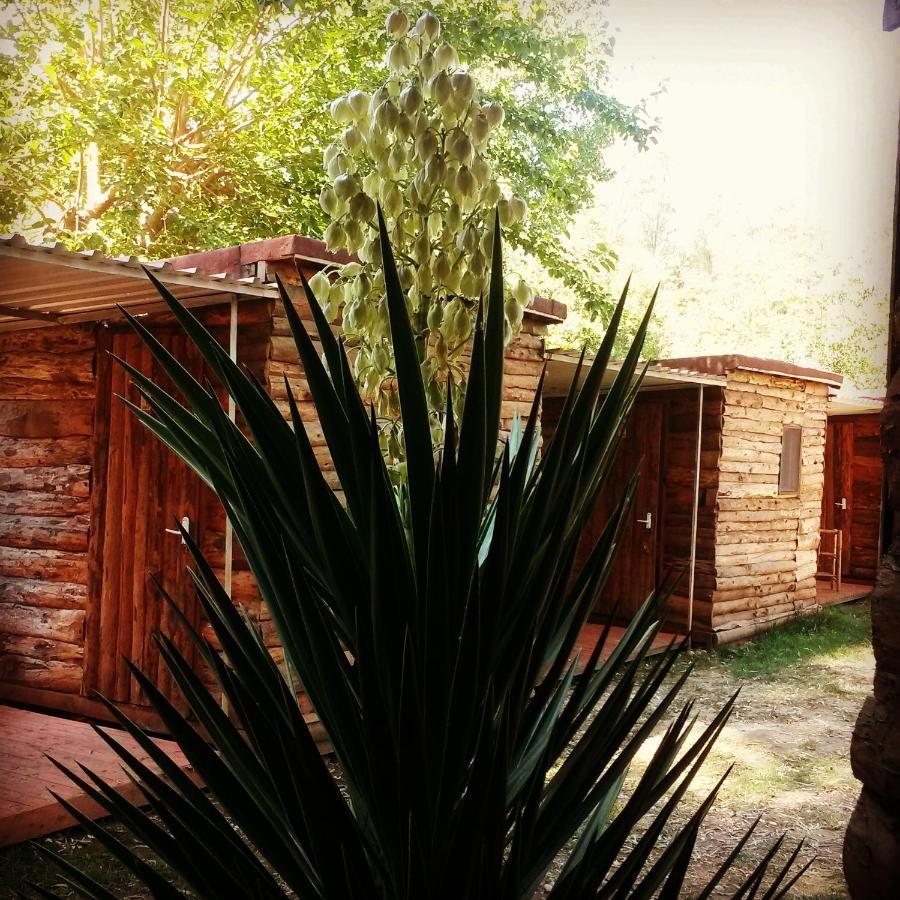 Medusa Camping Patara Exterior photo